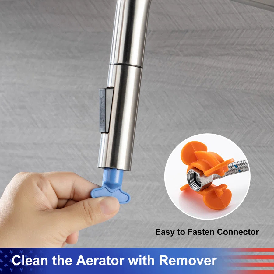 RAINLEX Single-Handle Pull-Down Kitchen Faucet (S6017)
