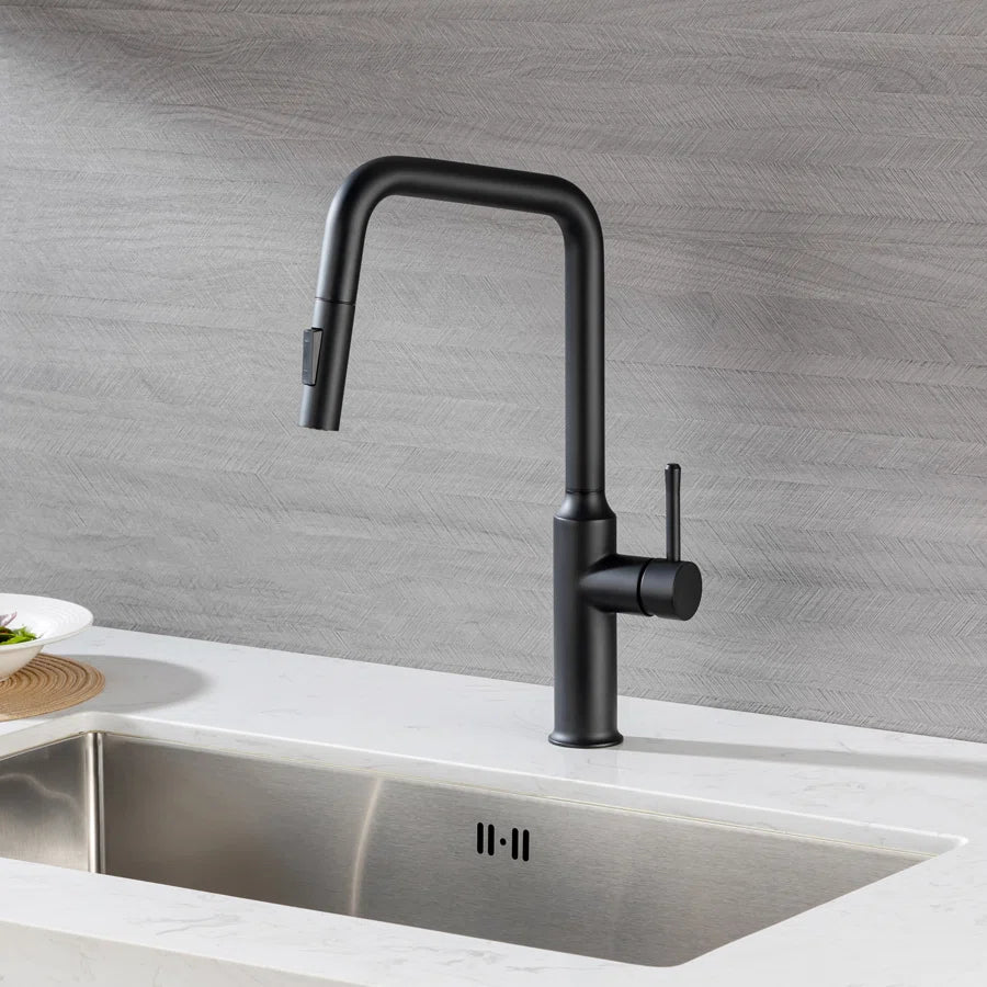 Robinet de cuisine à poignée unique rétractable RX6017