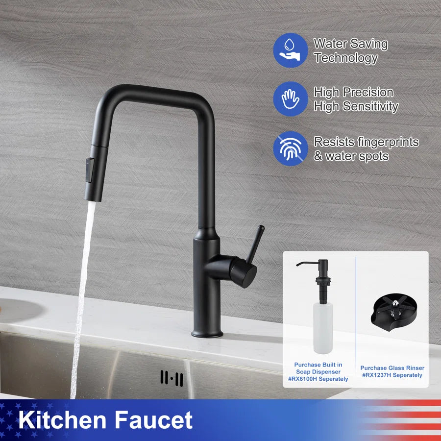 RAINLEX Single-Handle Pull-Down Kitchen Faucet (S6017)