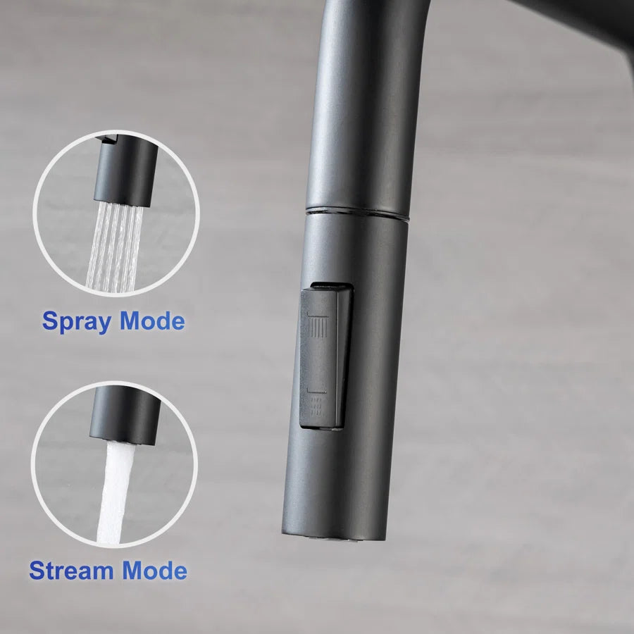 RAINLEX Single-Handle Pull-Down Kitchen Faucet (S6017)