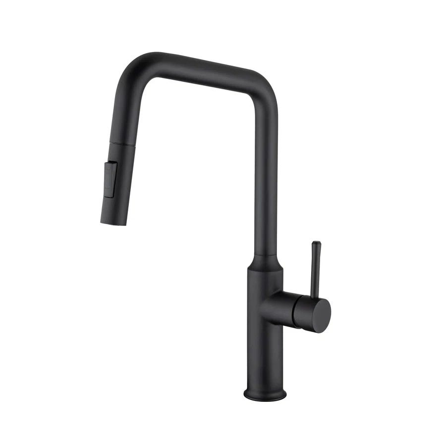 Robinet de cuisine à poignée unique rétractable RX6017