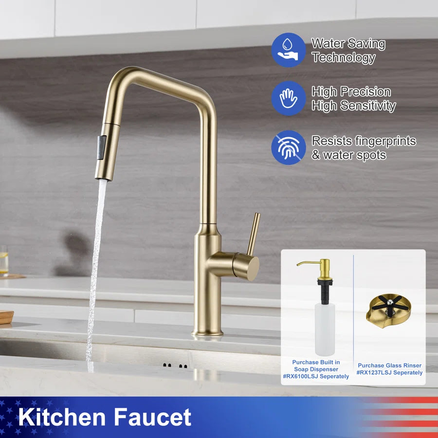RAINLEX Single-Handle Pull-Down Kitchen Faucet (S6017)