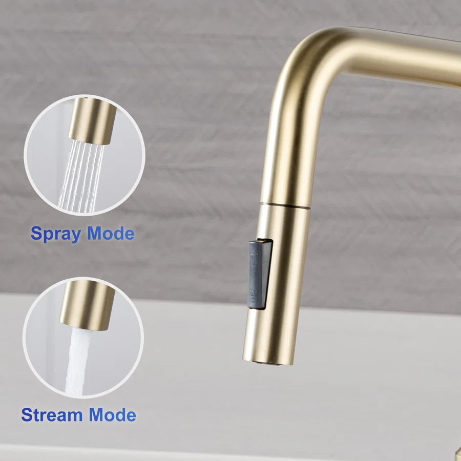 RAINLEX Single-Handle Pull-Down Kitchen Faucet (S6017)