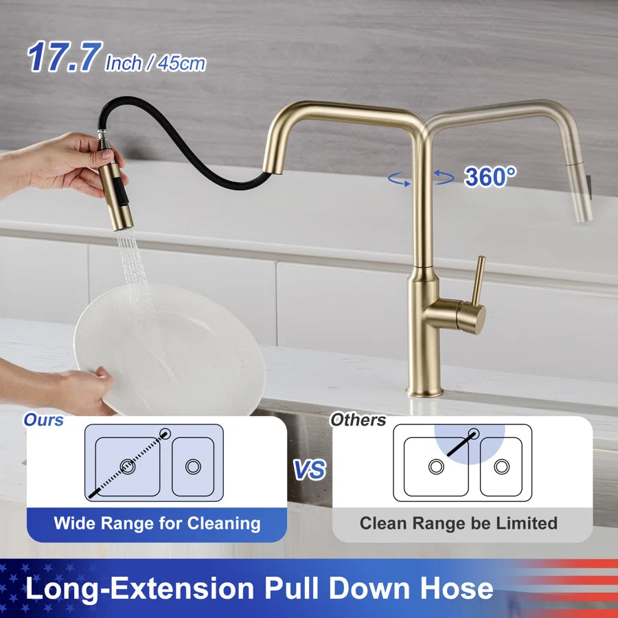 RAINLEX Single-Handle Pull-Down Kitchen Faucet (S6017)