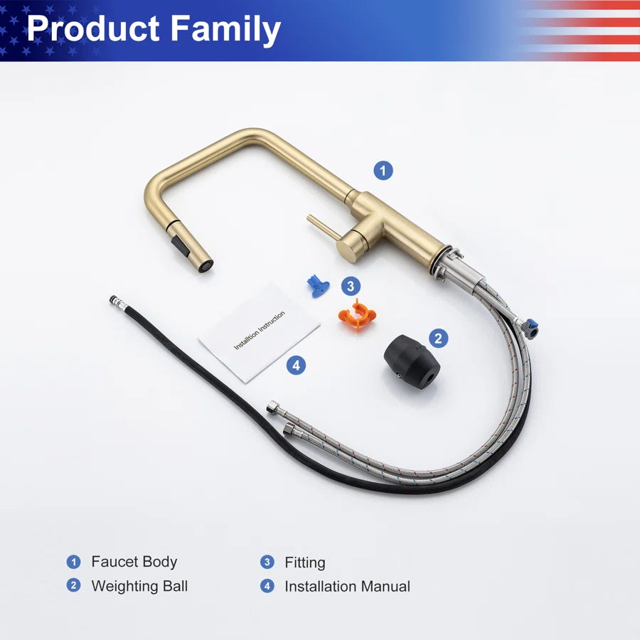 RAINLEX Single-Handle Pull-Down Kitchen Faucet (S6017)