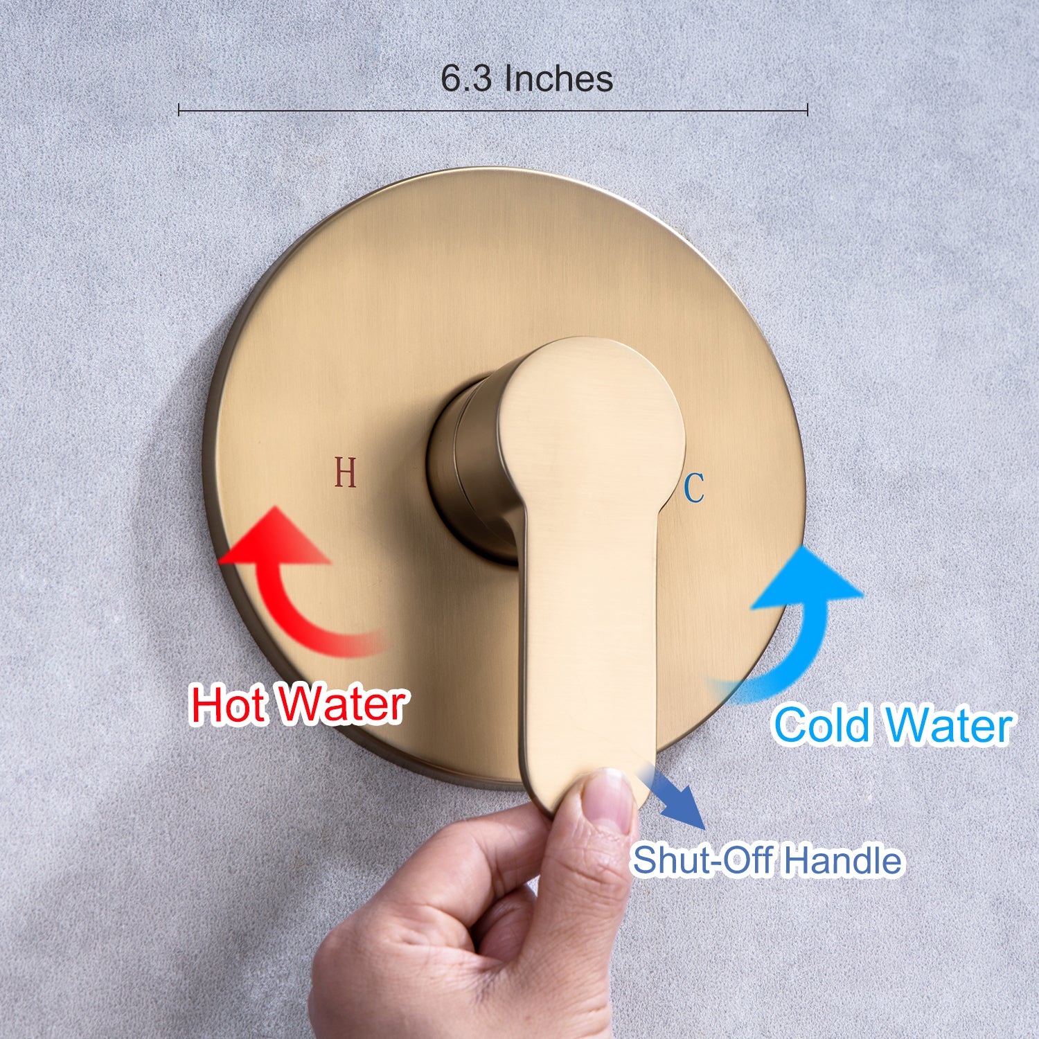 Pommeau de douche rond à montage mural de 10 po avec valve brute RX96201-10