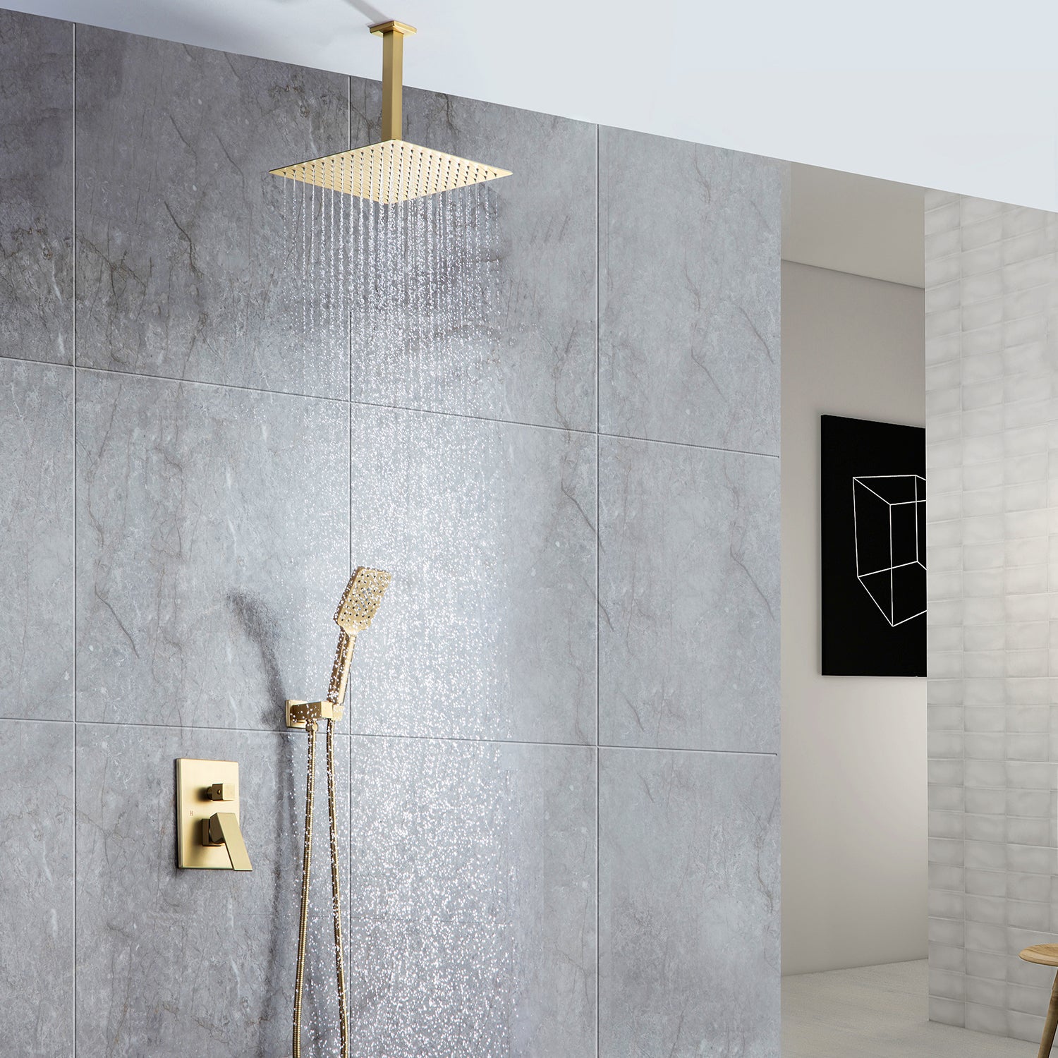 Ceiling Mount Shower