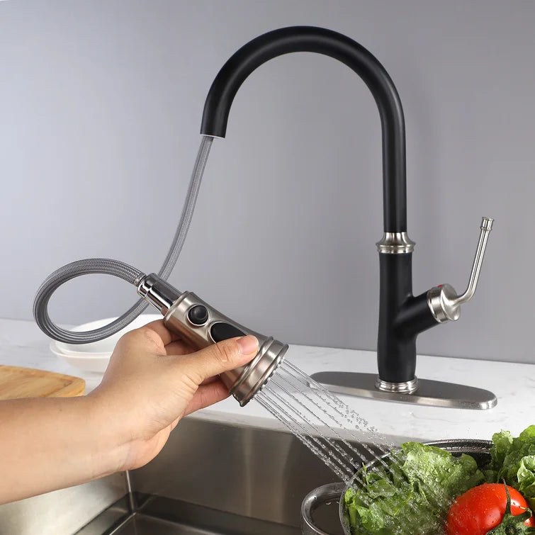 [Rainlex 6001A] Rainlex Pull Down Kitchen Faucet