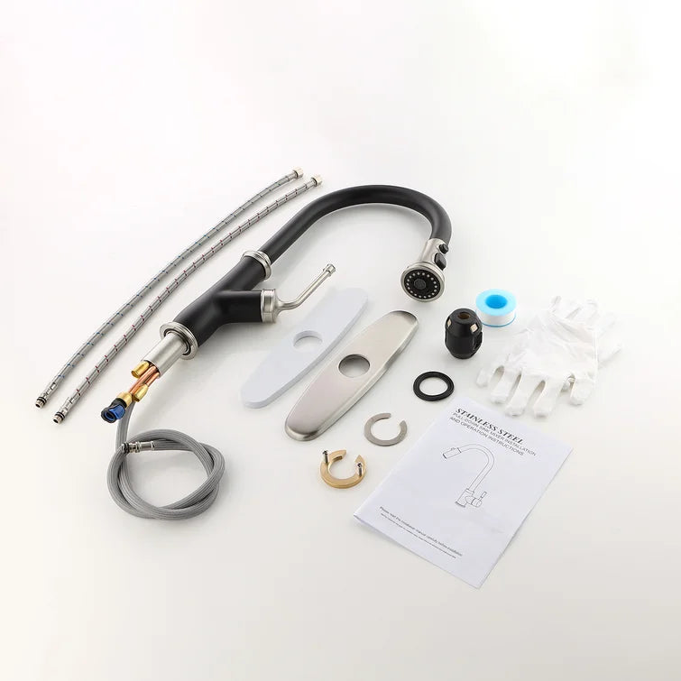 [Rainlex 6001A] Rainlex Pull Down Kitchen Faucet
