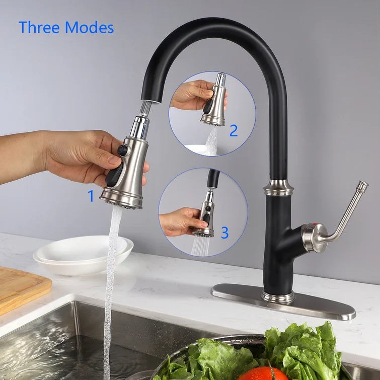 [Rainlex 6001A] Rainlex Pull Down Kitchen Faucet