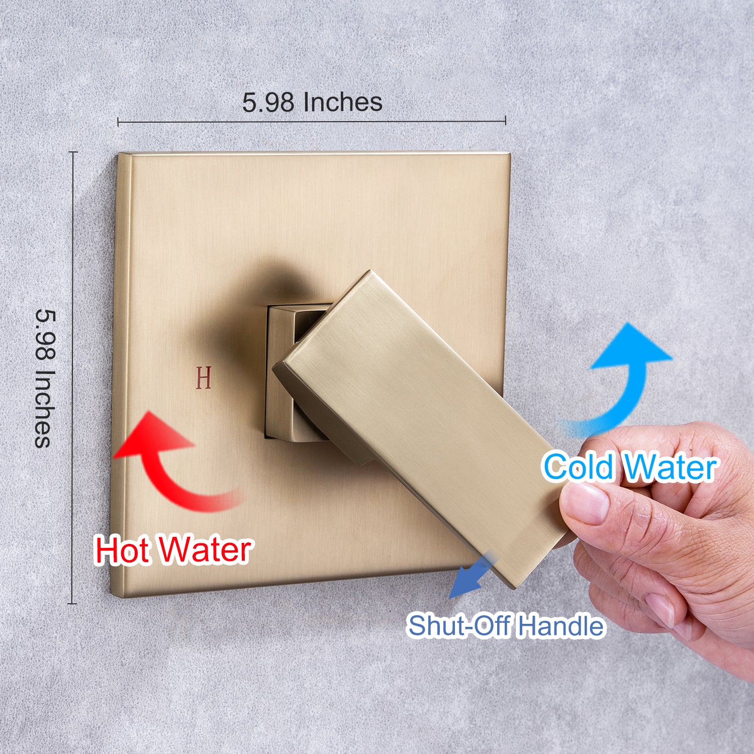 Système de douche carré complet de 10 po avec robinet d'installation brute RX93101-10