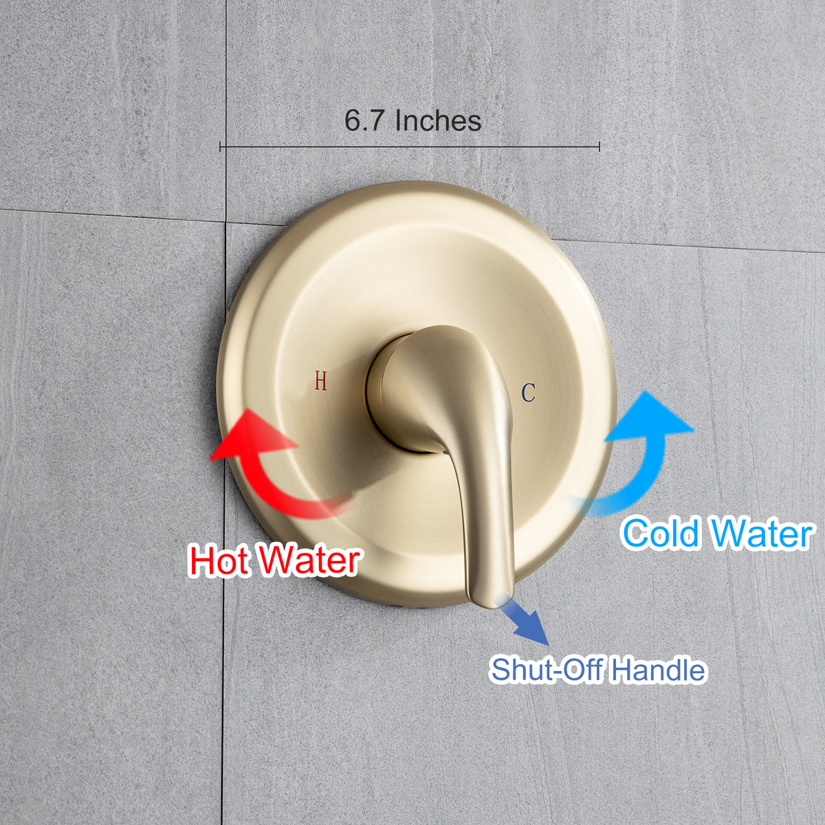 RAINLEX 6-Spray Wall-Mount Shower System with Rough-In Valve (S92201)